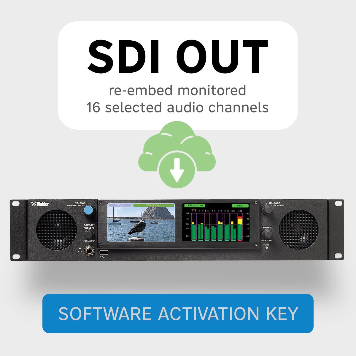 OPT-SDI RE-EMBEDDING — front panel